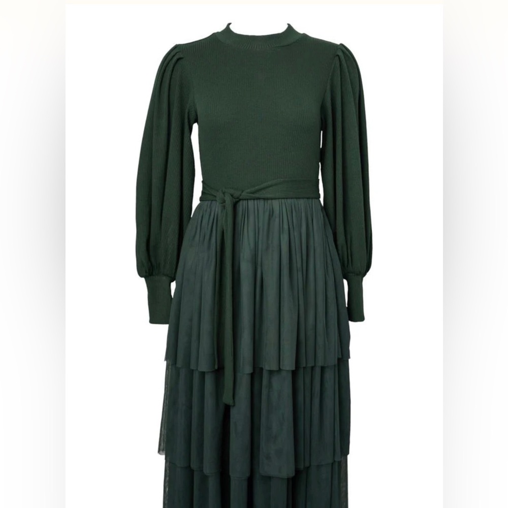 Ivy City Co. Colette Dress in Green. Worn once. - Picture 3 of 3